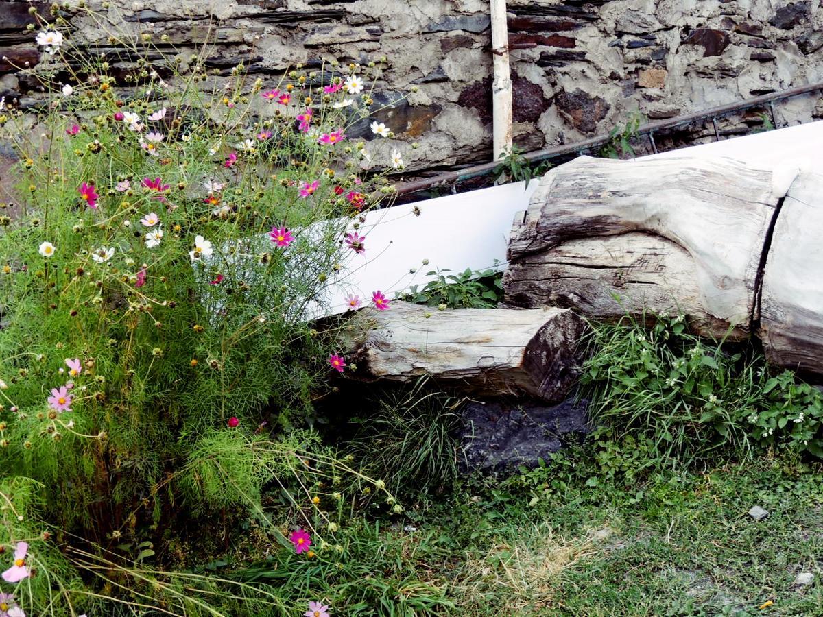 Nino Khetaguri Guest House Stepantsminda Exterior foto