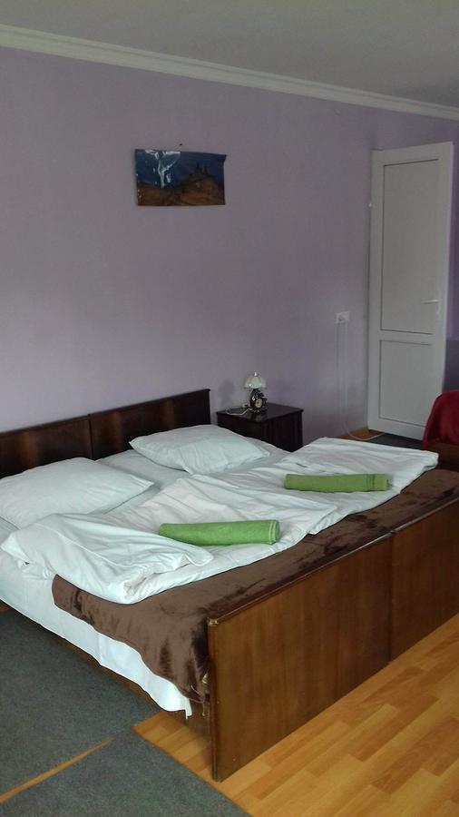 Nino Khetaguri Guest House Stepantsminda Exterior foto