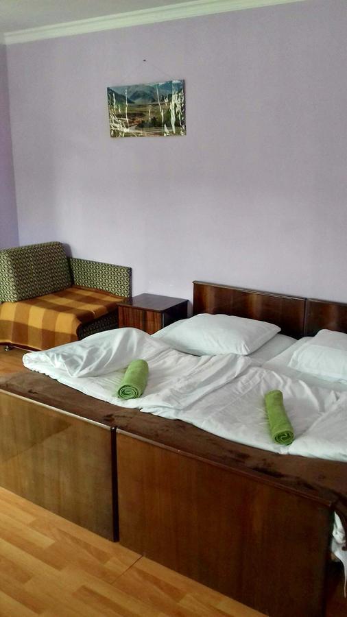 Nino Khetaguri Guest House Stepantsminda Exterior foto